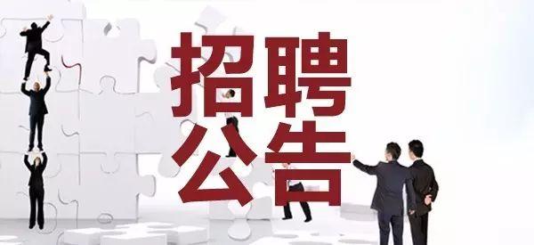 事業(yè)單位新聞傳播類工作的全面解讀與解析