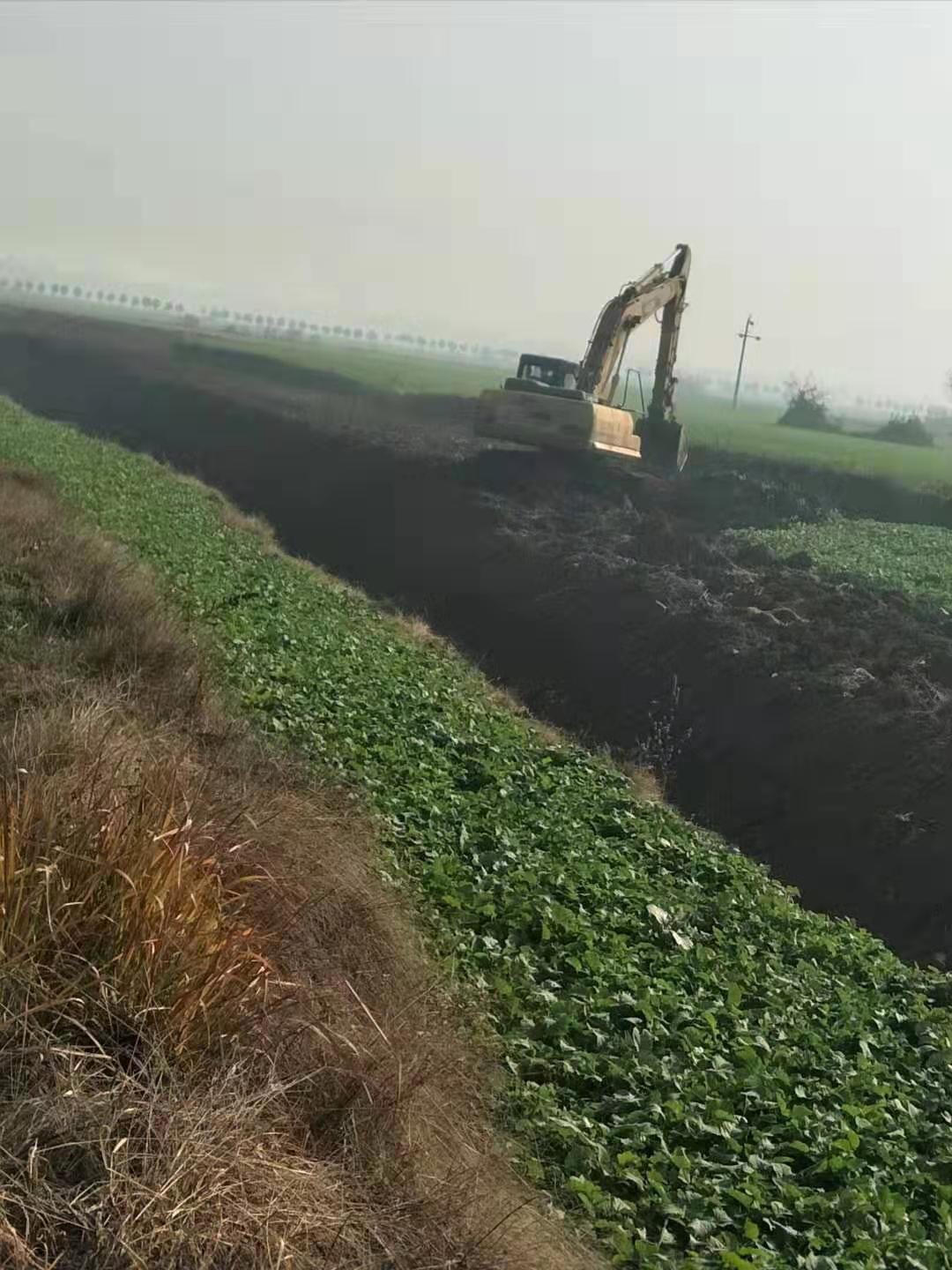 農(nóng)業(yè)部門公務員職位招聘條件詳解