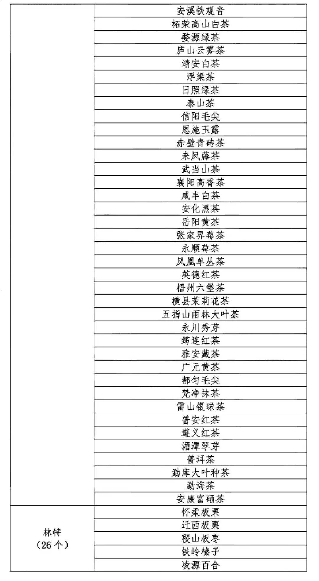 茅依婷，上海市公務(wù)員公示名單嶄露頭角的新星