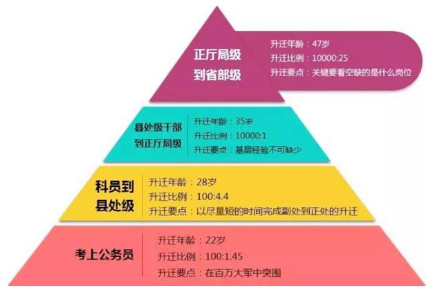 事業(yè)編試題精選解析，洞悉知識(shí)要點(diǎn)與備考策略指南