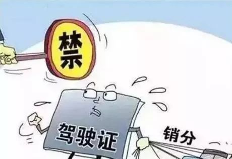 待業(yè)期間與政審交織，挑戰(zhàn)與機遇的挑戰(zhàn)