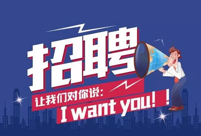 漢壽縣2024年事業(yè)編招聘展望與深度解析