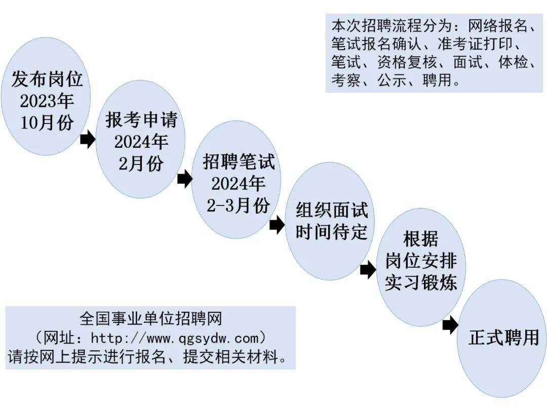 網(wǎng)絡(luò)技術(shù)考編崗位深度探索與洞察