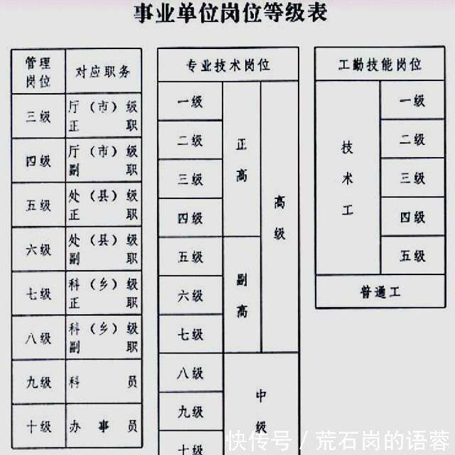 事業(yè)單位信息技術崗職責與角色深度解析