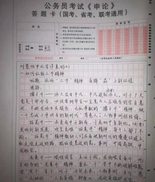公務(wù)員考試申論大作文寫作攻略與技巧