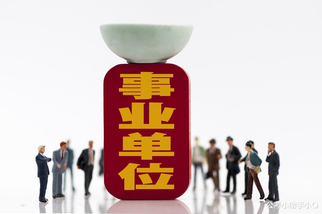 事業(yè)單位招聘公告發(fā)布渠道與查詢途徑詳解