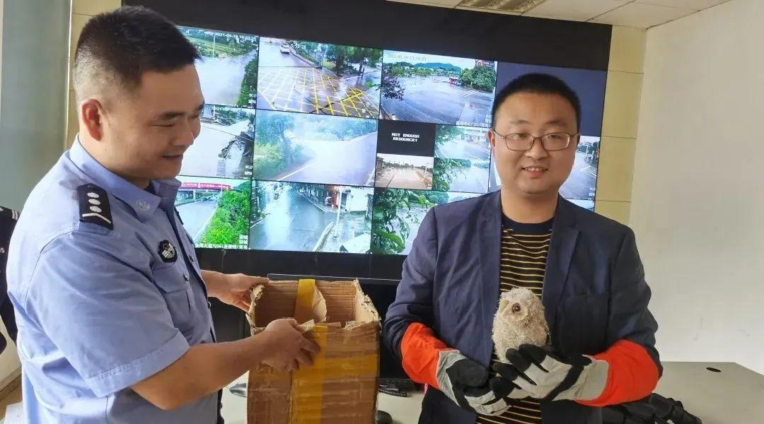 長沙事業(yè)單位考試職位表全面解析